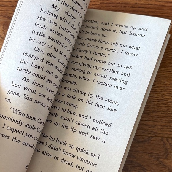 Tornado by: Betsy Byars paperback book - Picture 2 of 3